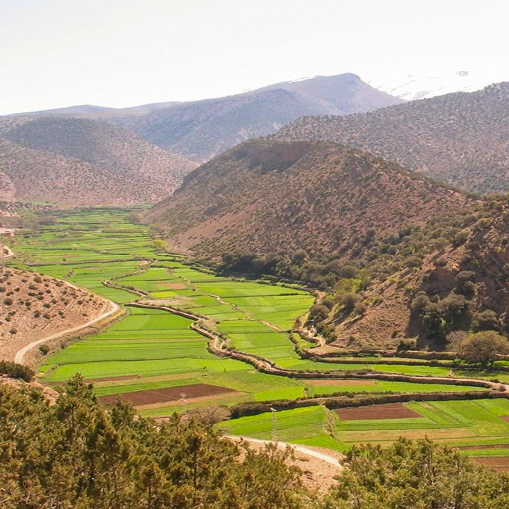 trail-zayan-khenifra